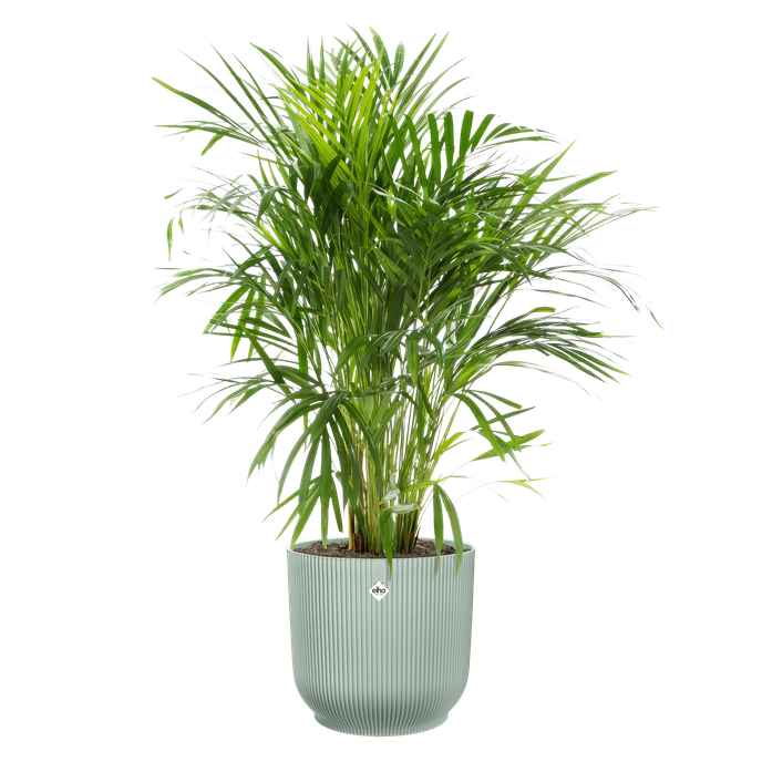 vibes fold round 35cm sorbet green